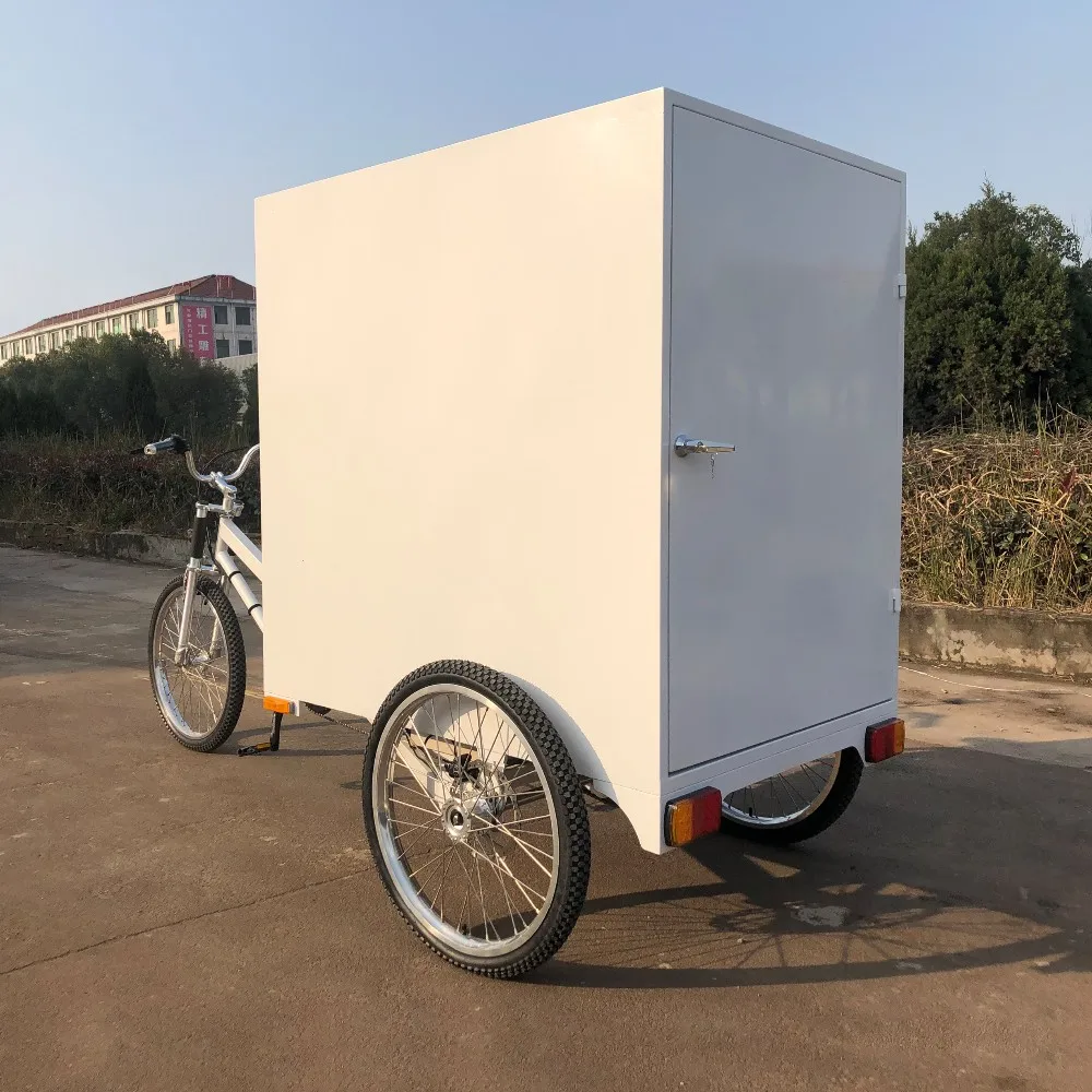 ESTER Cargo Tricycle on Sales ,500W Rear Motor, Waterproof Line,  customer request