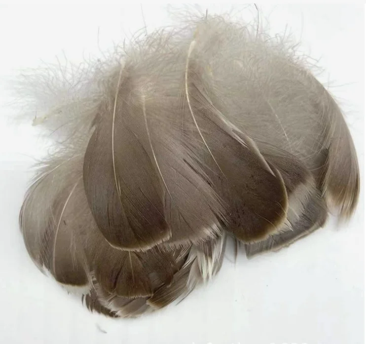 For DIY Decorations natural Duck Feathers duck Goose Down Feathers