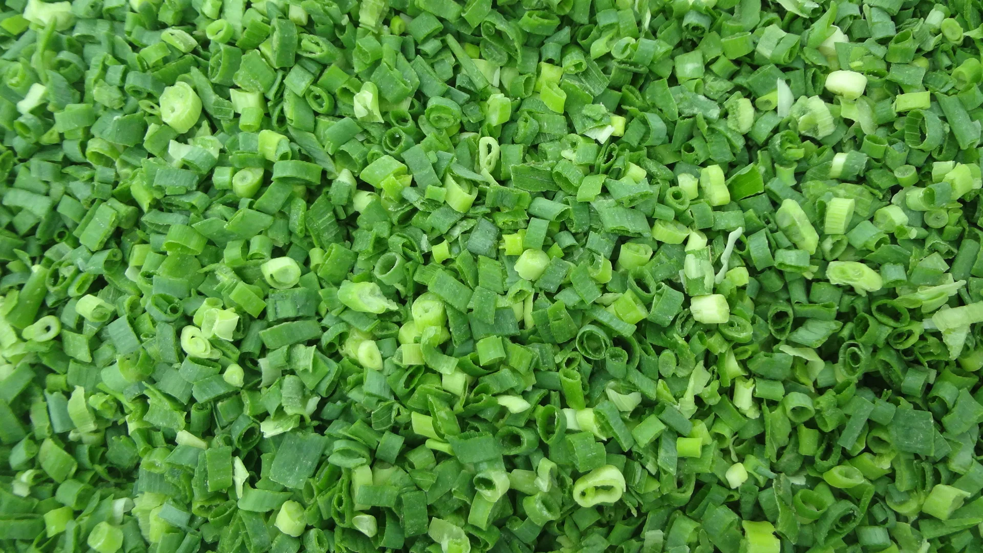 Wholesale Good Price Beat Quality  Delicious Frozen Green Spring Onion