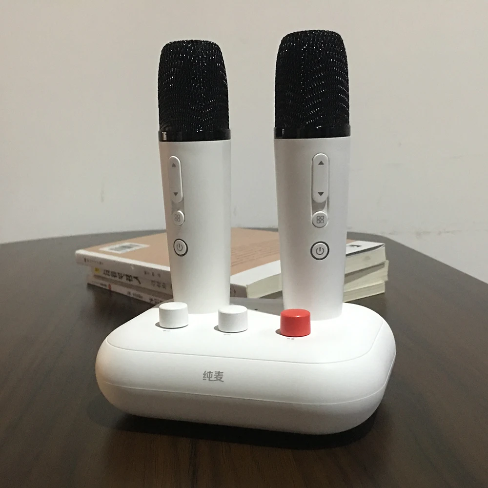 Перезаряжаемый караоке динамик с микрофоном караоке плеер набор X2 loostone