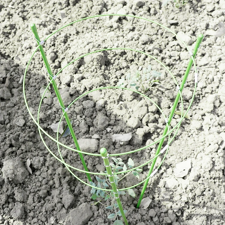 Round Anodised Climbing Spiral Hooks For Creeping Brass Tomato Cage Plant Support Garden Stakes For Plants