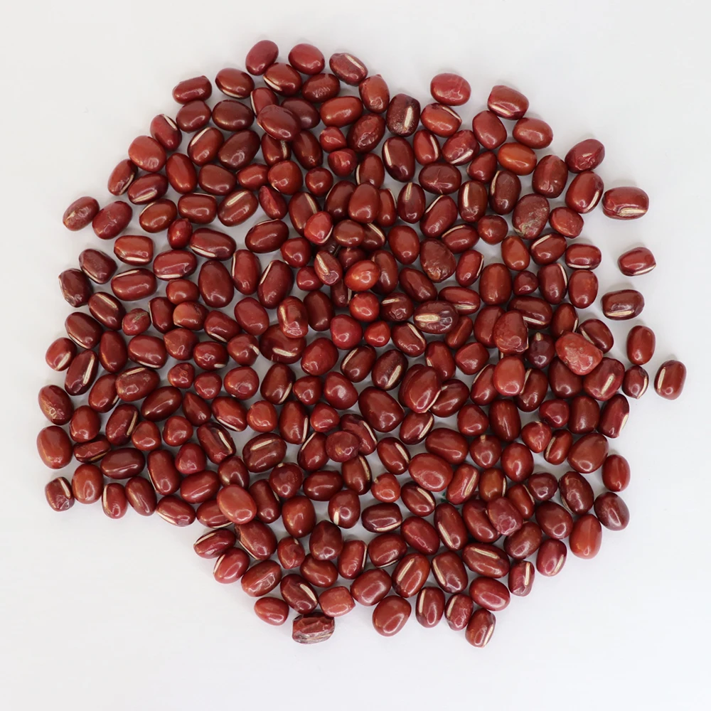 China Origin Red Bean Round Shape Dried Organic Small Red Adzuki Beans Frijol Rossi