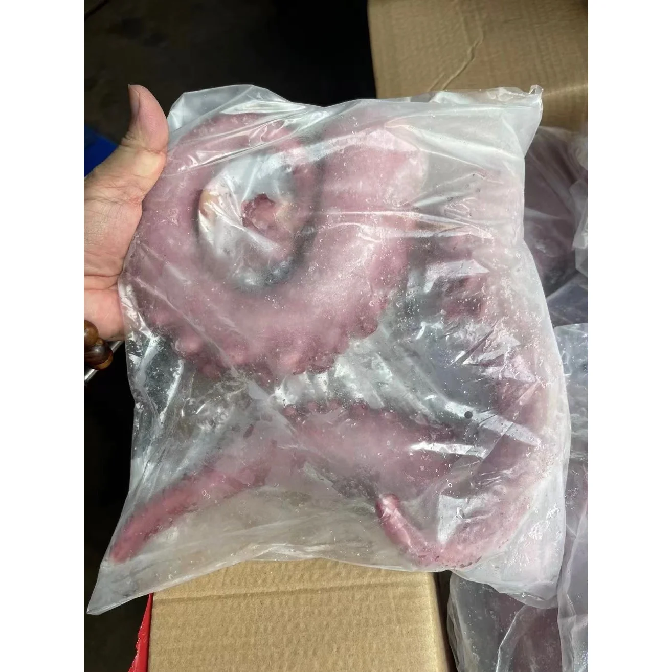 Оптовая продажа, щупальца замороженного кальмара, гигантские щупальца кальмара для рынка