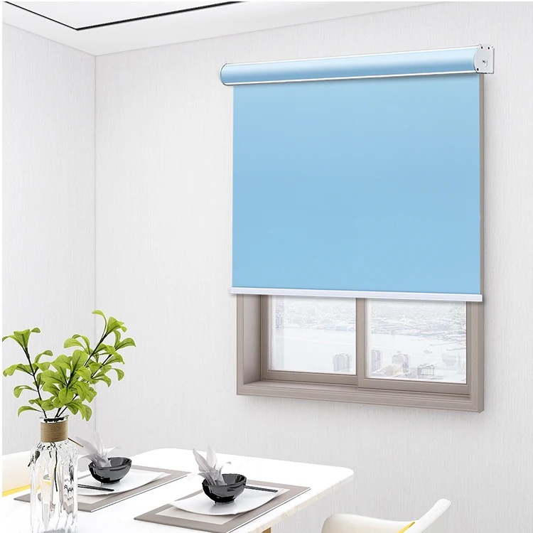Cordless Roller Blinds for Windows Sun Shades Roller Filter Light Day and Night Curtain for Living Room Custom Made