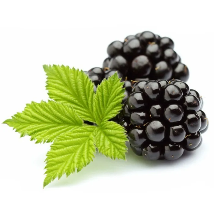 Freeze Dried Blackberry Whole Lyophilization Natural Fruits