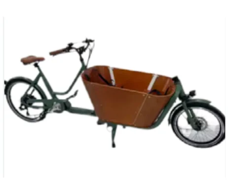Two-wheeled, man-carrying, cargo-carrying electric moped for three passengers