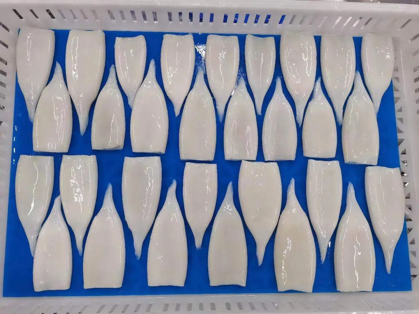 Good quality frozen illex squid tube skinless tip on