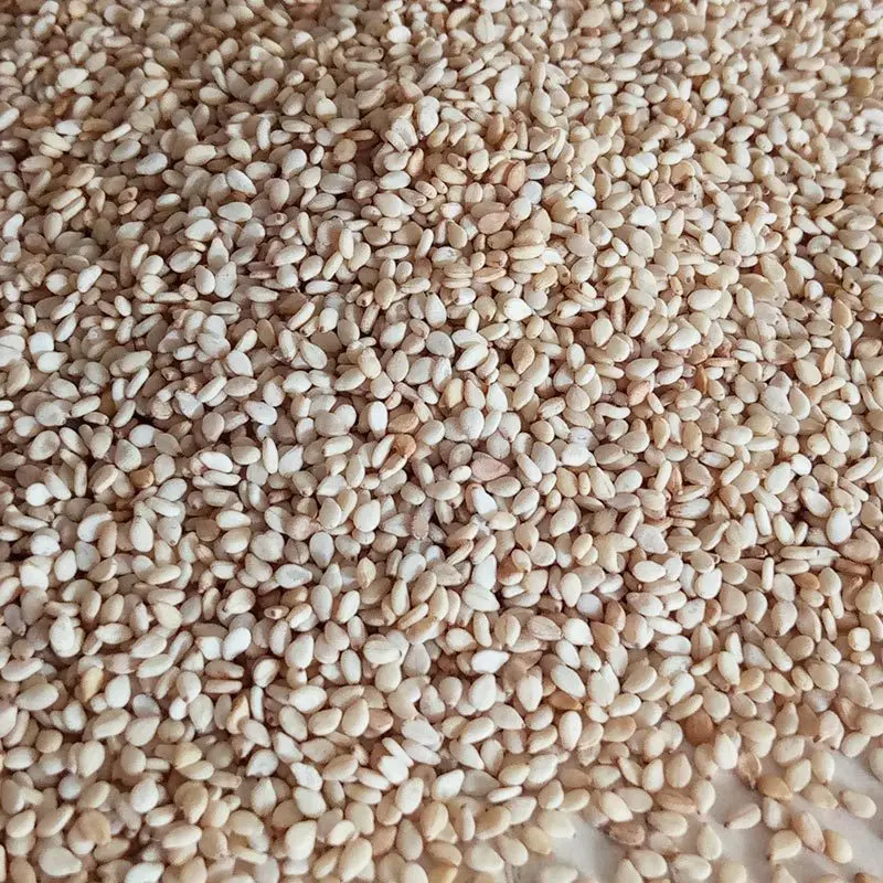Low Price Non-Gmo High-quality Best White Hulled Sesame seeds white Sesame suppliers for sale