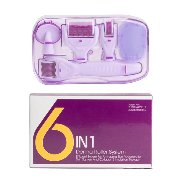 Newest 6 in 1 derma roller microneedle roller for most of skin problems