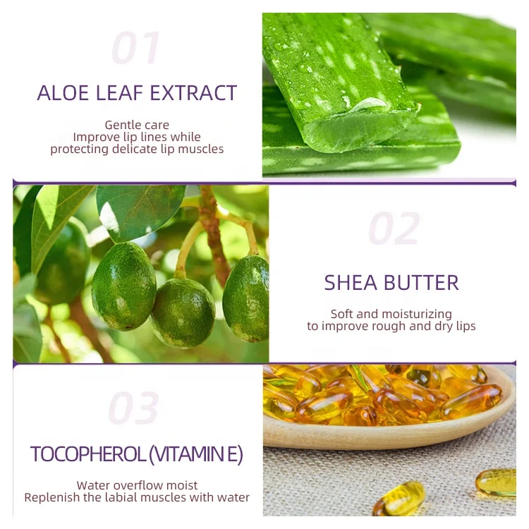 Hot selling Romantic Multicolor Bear Shaped Lip Balm fruity Smell Moisturizing Lip Balm