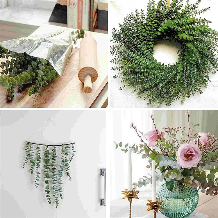 Natural Green Eucalyptus Stems Greenery Leaves Dried Flowers Preserved Eucalyptus Branches for Wedding Home Decoration