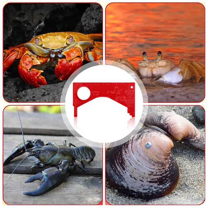 Portfolio sale Crab Gauge Measure Multi Shrimp Clam with 6 loops lead lobster trap fishing crab trap