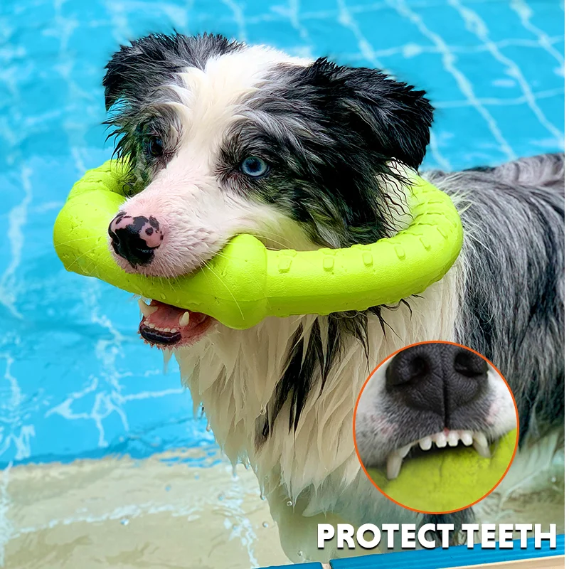 LaRoo 2024 Hot Sale Dog durable Chew Tooth Cleaning Toy EVA Dog Toy Ball Interactive large Dog Chew Rope Toy