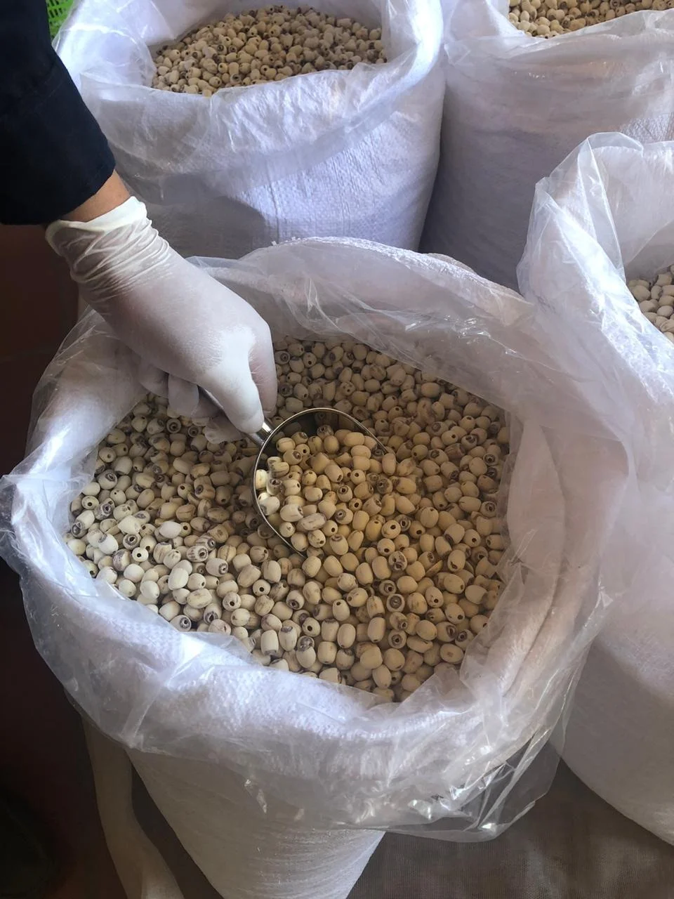 Вьетнамское происхождение 100% Натуральные Сушеные белые семена лотоса дешевая цена сельскохозяйственный продукт