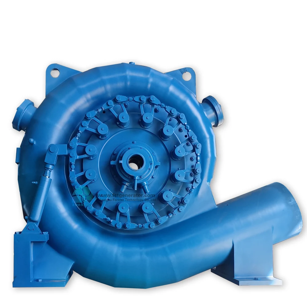 Hydroelectric Water Wheel Hydro Electric Power Generation Hydro Power Electric Generator Governor