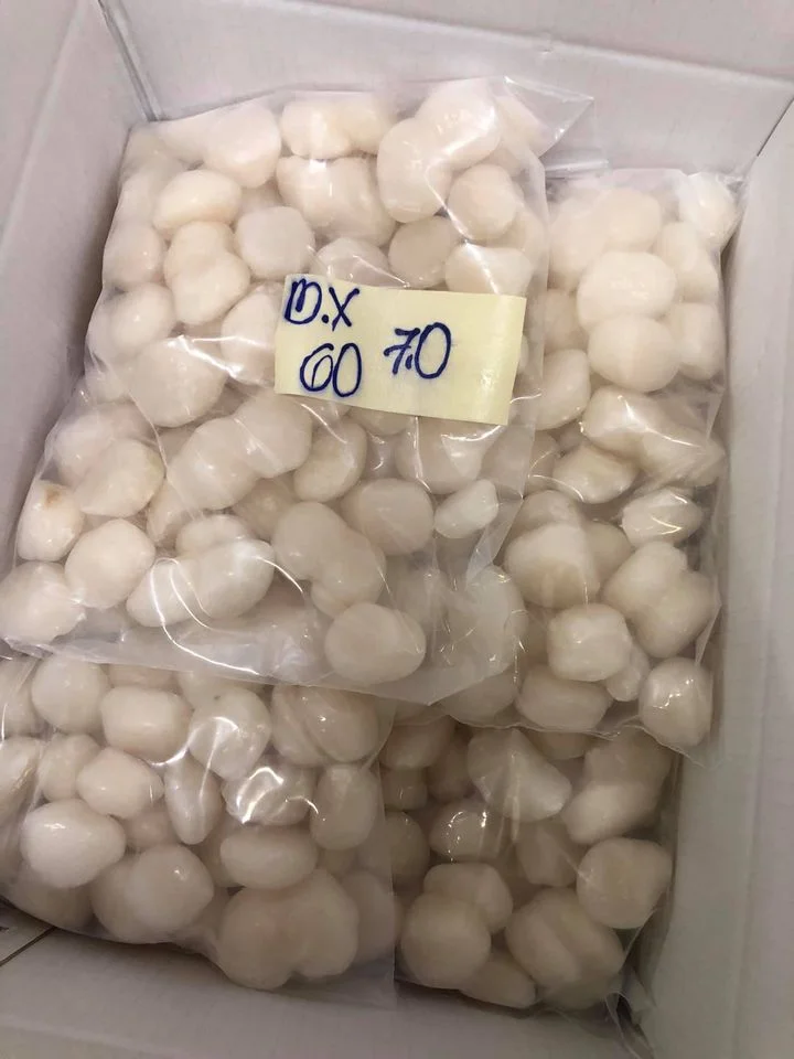  Морепродукты высокого качества с фестонами по конкурентоспособной цене/праздничные 84 845 639639