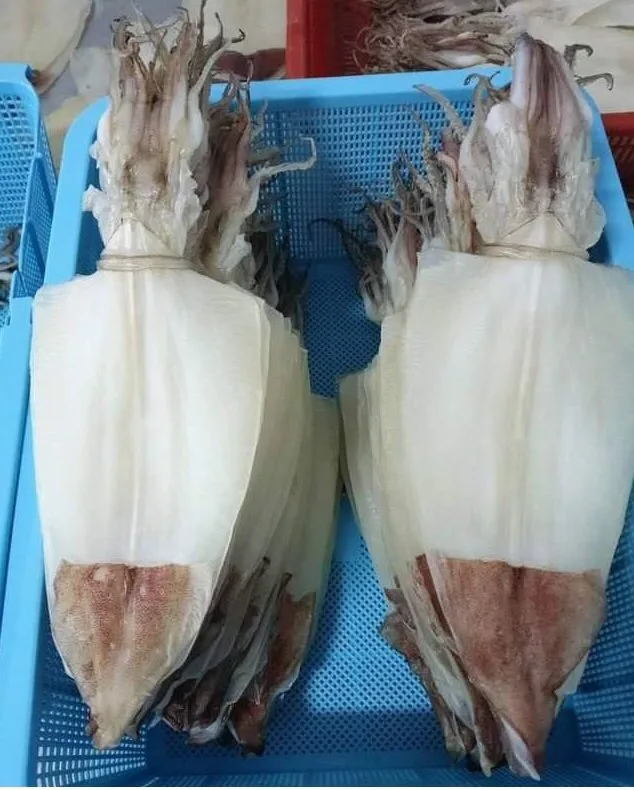 
Хит продаж, экспорт сушеных кальмаров 