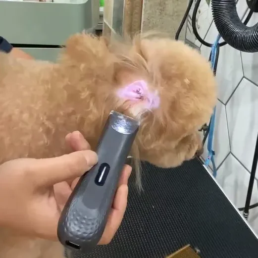 Pet Hair Trimmer Store Mini Clipper Dog Grooming Set for Partial Hair Dog Trimmer Set