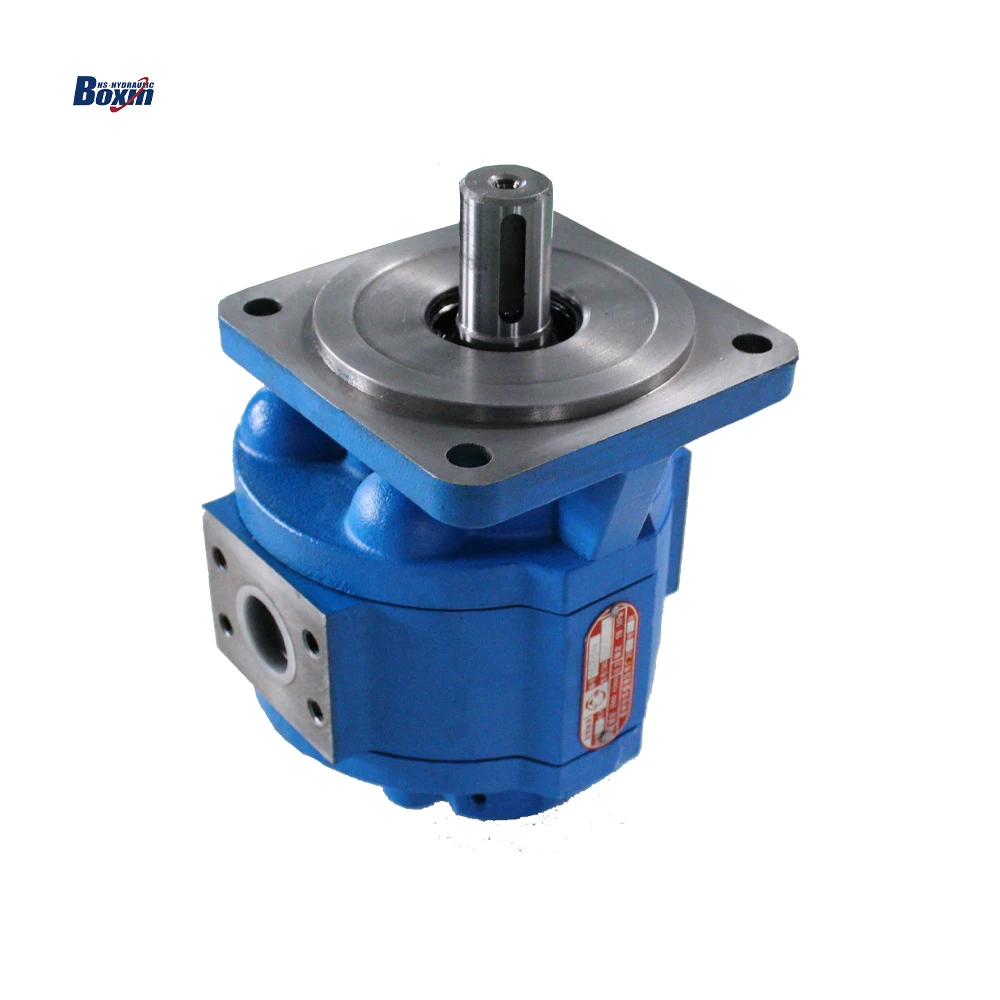 CBG-2 Gear Pump High Viscosity Material Transfer Pump Sanitary Lobe Pump