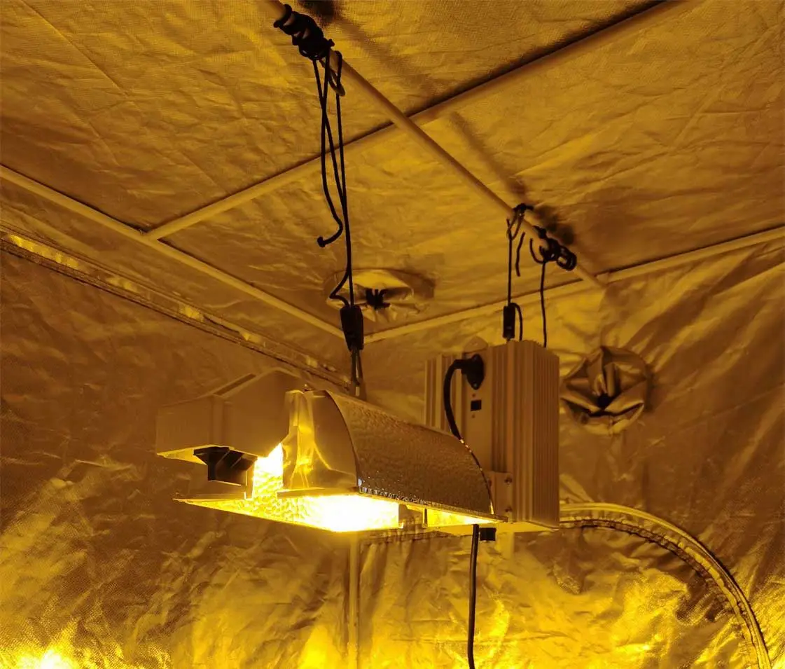 Dimming  600 watt 750 watt 825w 1000w 1150w hps digital ballast grow lights hps 1000w 600w with Electronic Ballast