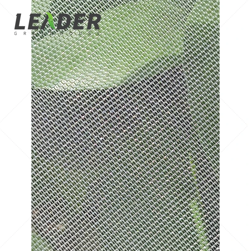 Greenhouse HDPE Net Various Mesh UV Stabilized Warp Knitted Anti-Insect For Agriculture Block Out Tobacco Whitefly