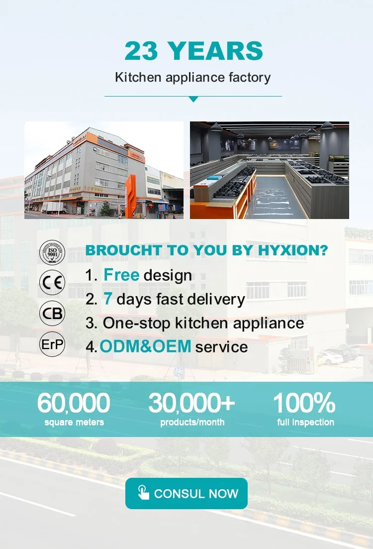 China Factory Home Kitchen Appliances Piano Cottura Ceramic 4 Burners Ceramic Glass Built-in Electric Cooker