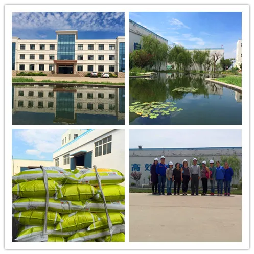 Factory hot sell : Calcium Chloride 74-77% industrial grade