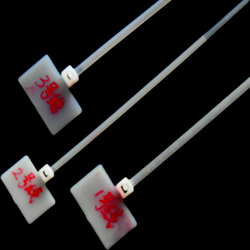China Manufacturer Marker Nylon Cable Ties 3.6*200mm or 4 inch Cable Tie Label Cable Ties ECO Material Free Samples