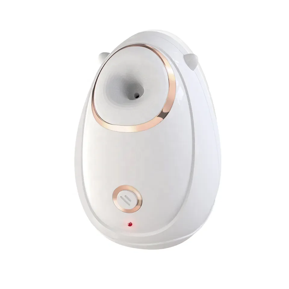 Hot sale Portable Nano Face Steamer Professional Spa Face Set Mist Ionic Steamer Multi-function Machine