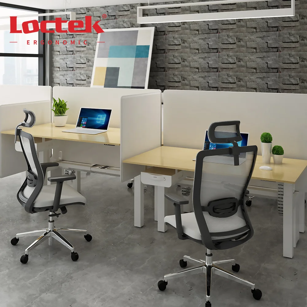 [Fast Delivery US&DE Inventory] Office Sit Stand Lifting Electric Table Dual Benching Height Adjustable Standing Desk ET223H(IB)