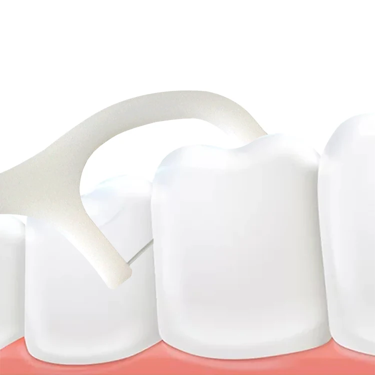 50Pcs Tooth Pick Floss Picks Dental Tooth Floss Dental Flosser For Home Use