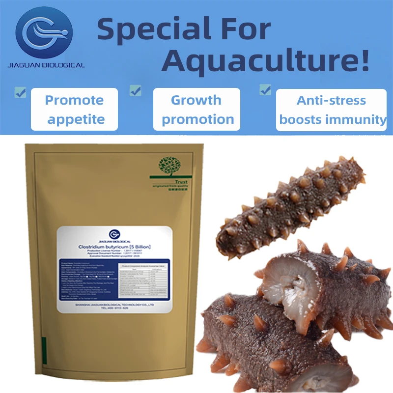 Hot Sale Supply Clostridium Butyricum Promote Health  Phytogenic Feed Additives Probiotic Powder Premix for Fish Sea Cucumber