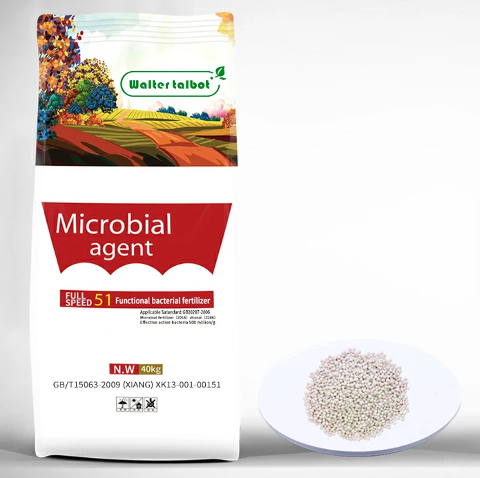 
Attractive Price New Type Agricultural microbial fertilizer Compound Fertilizer 