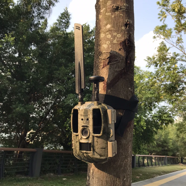 Balever Manufacturer supplier 4G hunting cameras GPS hunting trail cameras 0.4s Trigger speed 4G network wildlife cameras