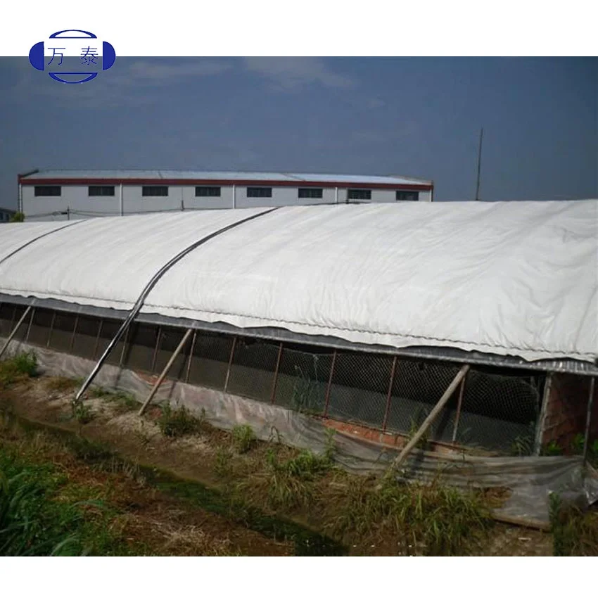 
Best selling agaricus bisporus growing net mushroom planting net mushroom cultivation nets greenhouse film 
