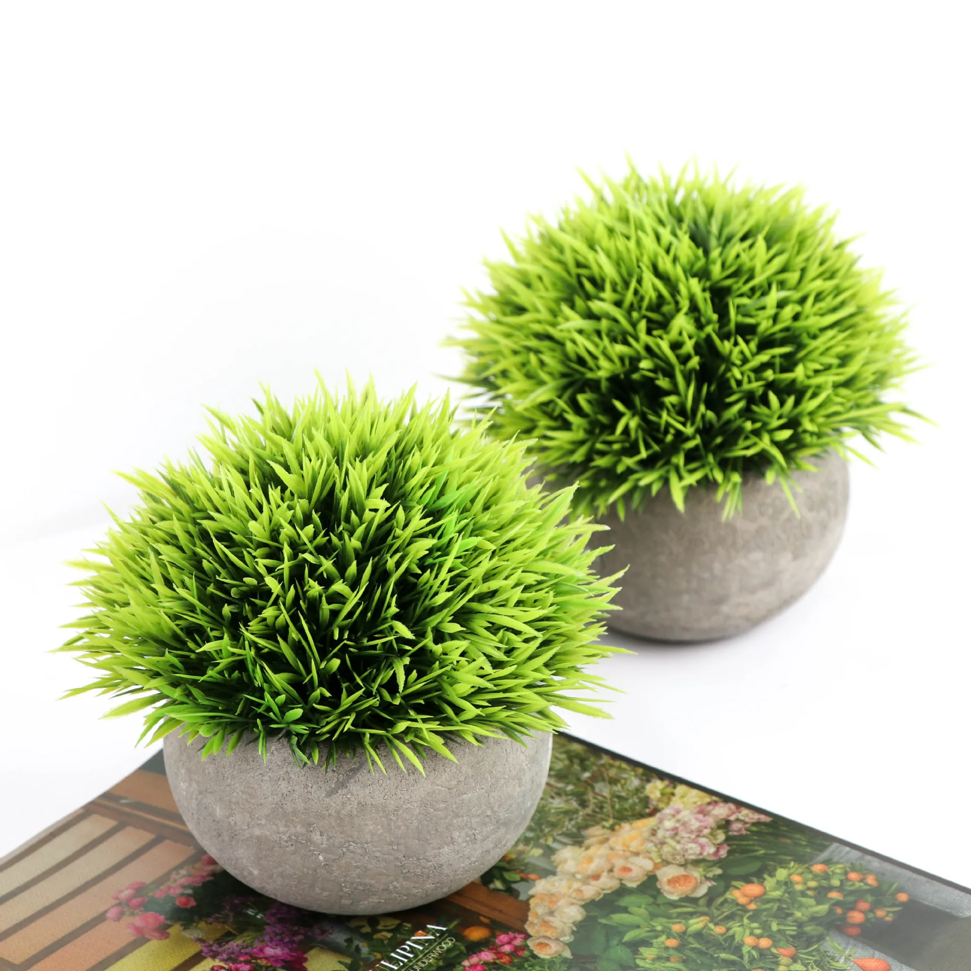 Tortoise Shell in Cement Pot Decorative Potted Plant on Table Top Artificial Plants Pot Silk Artificial Flowers Moon Flower 100