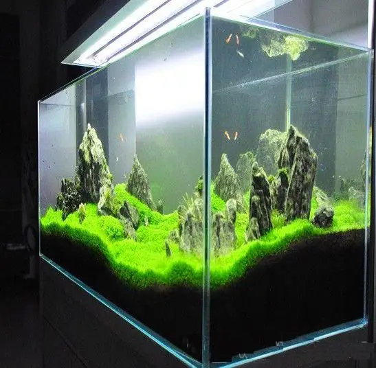 4mm 6mm 8mm 10mm 12mmclear and ultra clear tempered aquarium glass