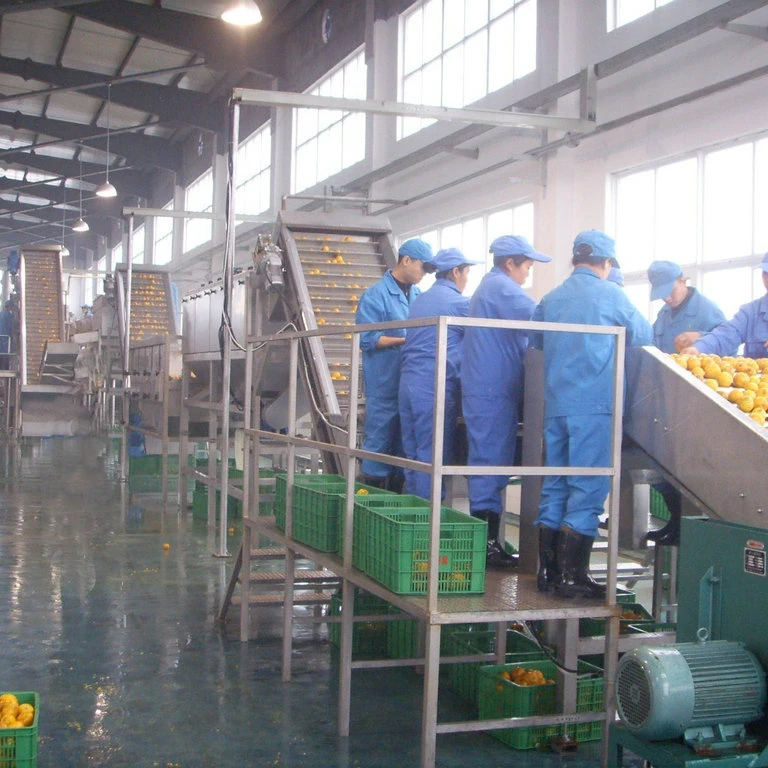 Высококачественная линия по переработке персикового сока для большой заводской переработки персика