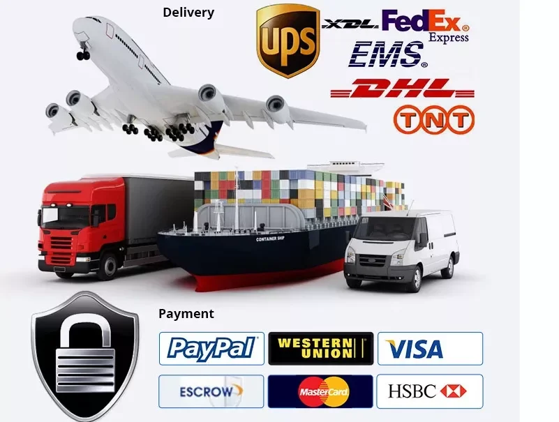 paste-pic-dp_uuid_aenq9