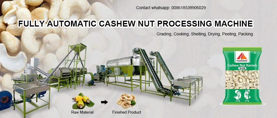 
Automatic Unit Nigeria Cashew Nuts Shelling and Processing Machine Thailand 