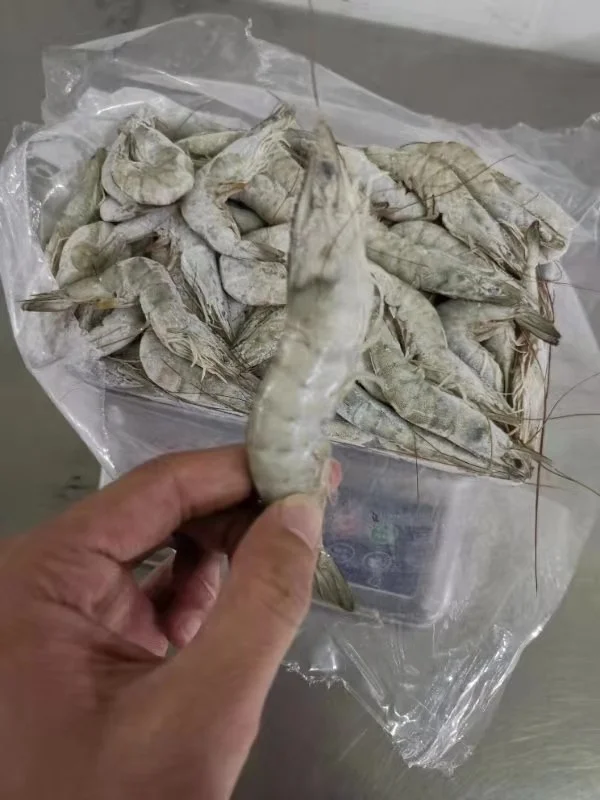Indonesia Whole sale good quality cheap price Frozen Vannamei White Shrimp