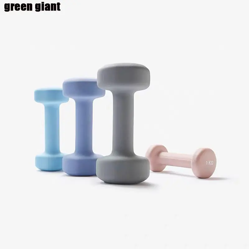 Rising Design Small and Good-looking Vinyl Coated Dummbell Weights Neoprene Dumbbell set