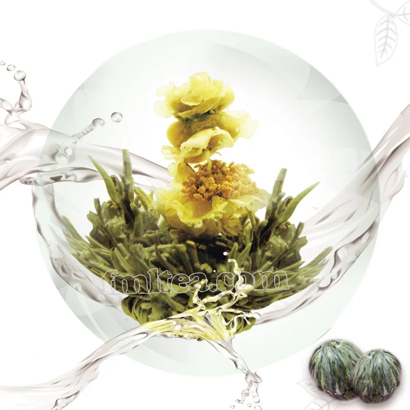 GABA Gabaron Jia Ye Wu Long Jin Bai Long Cha Oxygen Free Fermentation Gamma Aminobutyric Acid Black Oolong Tea Bag Gift Premium