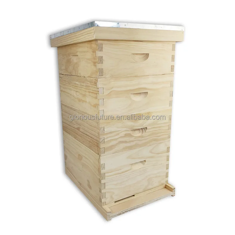 Beekeeping Factory High Quality 4 levels Pine Wooden Beehive 10 Frames Beehive Bee Box For Sale