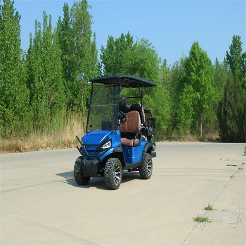 Tong Cai 72V Luxury Mini Best Chinese 4-Seater Bumpers with Gasoline Powered Electric Options  cheap electric golf carts