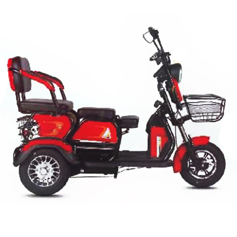 High Quality Adult Cargo Electric Tricycle 3 Wheel Adult Electric Bike LED Light Steel CE LCD Display Aluminum Alloy 80 12 Tube