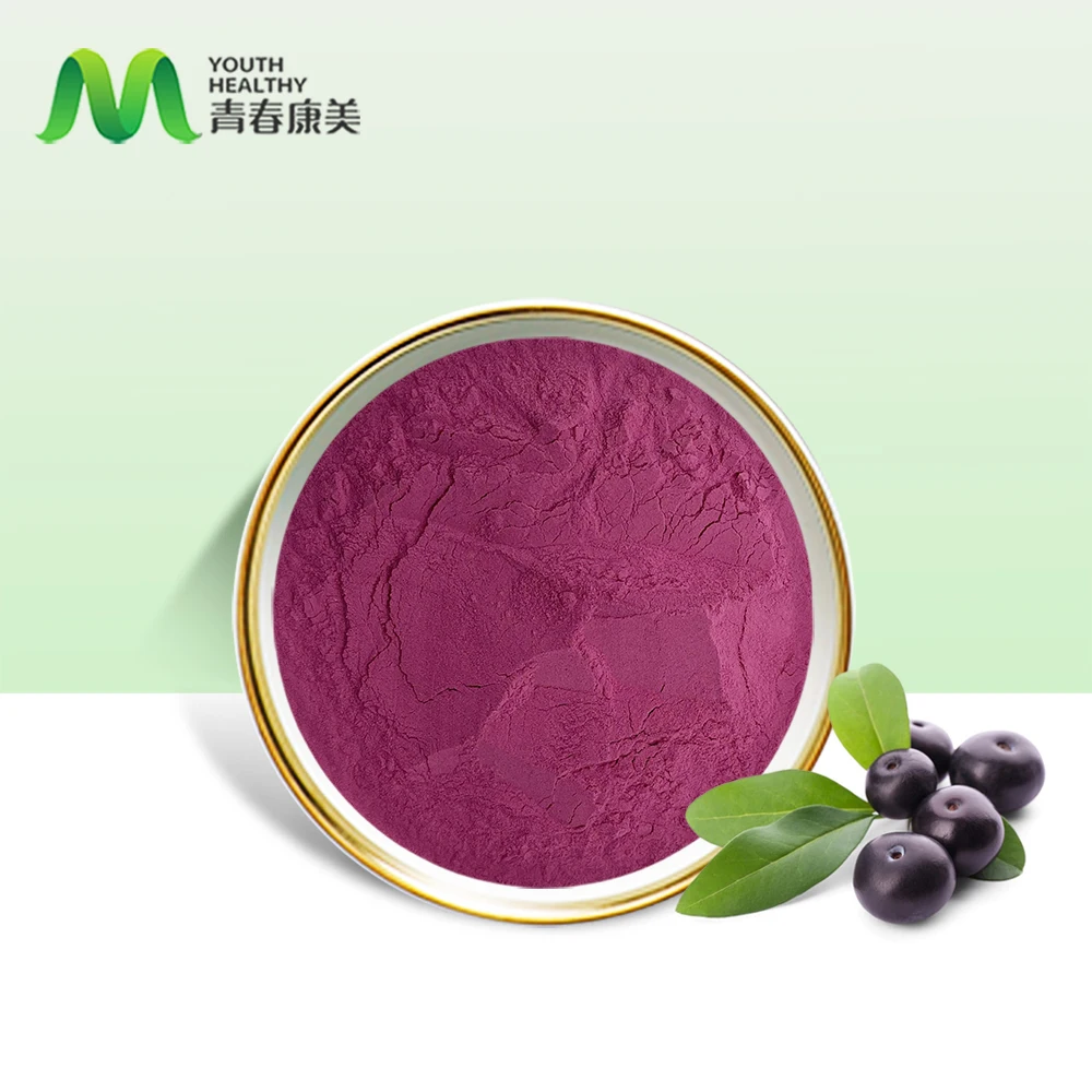 Заводская поставка конкурентоспособная цена Acai ягодный порошок оптом