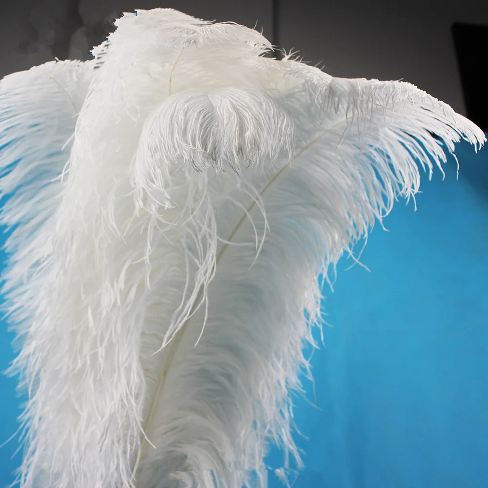 Wholesale Large White Carnival Festival Ostrich Feather 15-80cm Dyed Ostrich Feathers Trims for Wedding Decoration