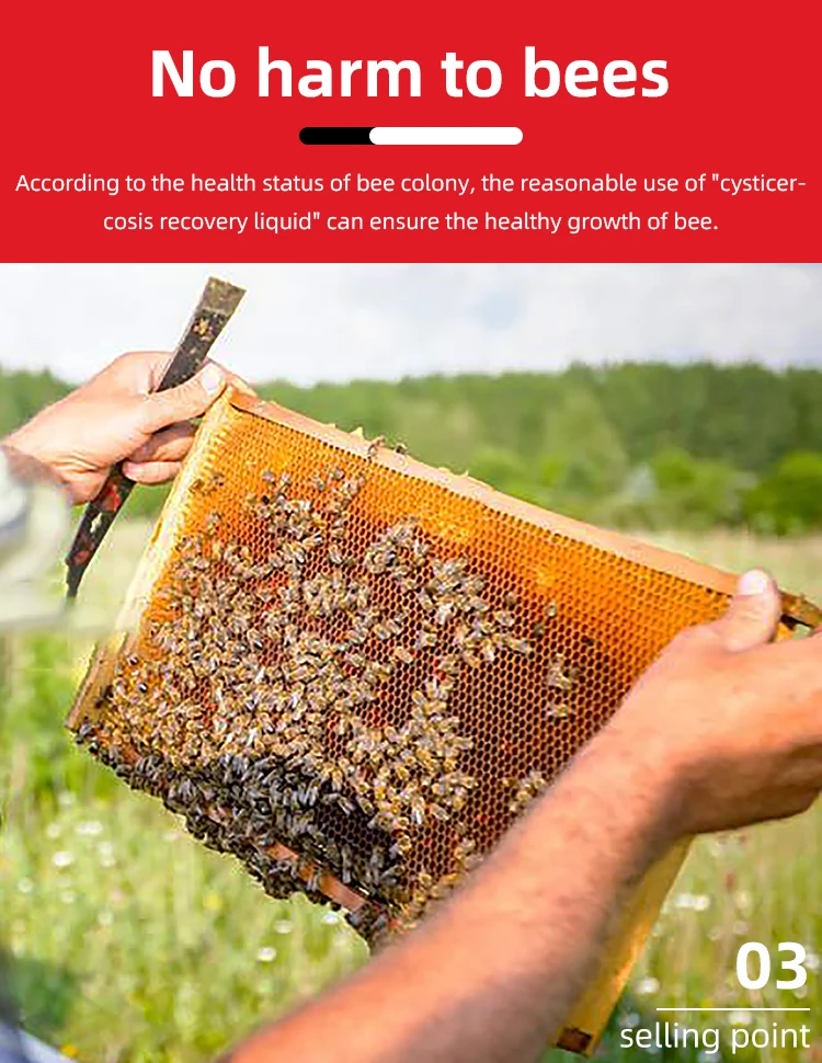 Bee Feed Pollen Patty 400g with 25% Natural Pollen