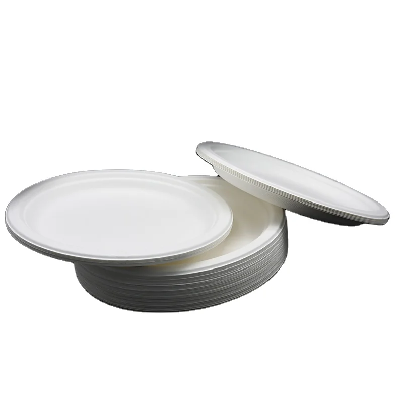 
Dinner Plates Sushi Eco-friendly Biodegradable Multi-size Sugarcane Bagasse Disposable Tableware 